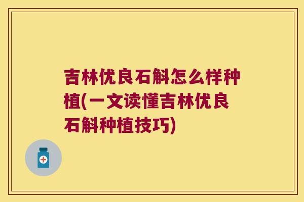 吉林优良石斛怎么样种植(一文读懂吉林优良石斛种植技巧)