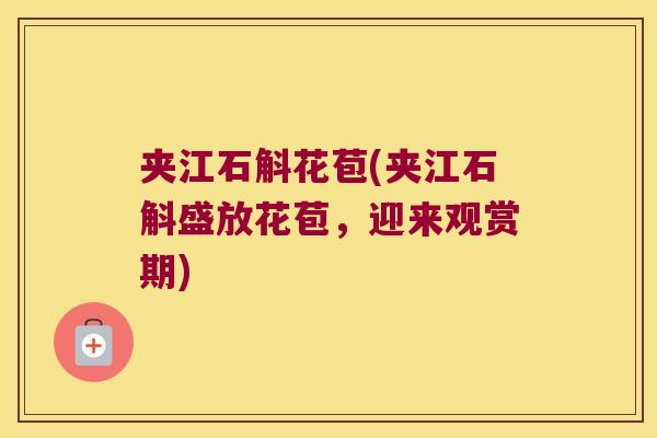 夹江石斛花苞(夹江石斛盛放花苞，迎来观赏期)