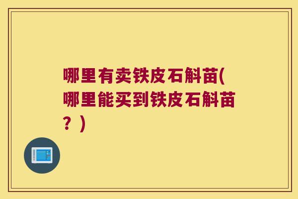 哪里有卖铁皮石斛苗(哪里能买到铁皮石斛苗？)
