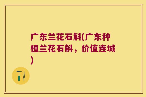 广东兰花石斛(广东种植兰花石斛,价值连城) 广东兰花石斛(广东种植兰花石斛,价值连城)