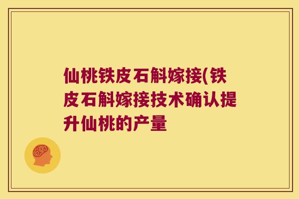 仙桃铁皮石斛嫁接(铁皮石斛嫁接技术确认提升仙桃的产量