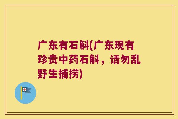 广东有石斛(广东现有珍贵中药石斛，请勿乱野生捕捞)
