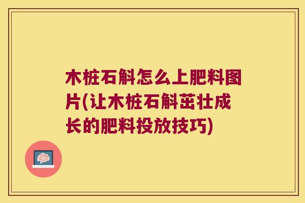 木桩石斛怎么上肥料图片(让木桩石斛茁壮成长的肥料投放技巧)