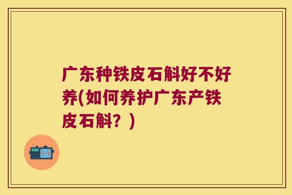 广东种铁皮石斛好不好养(如何养护广东产铁皮石斛？)