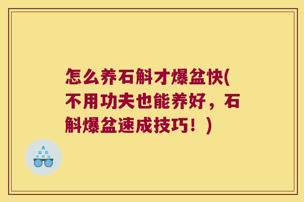 怎么养石斛才爆盆快(不用功夫也能养好，石斛爆盆速成技巧！)