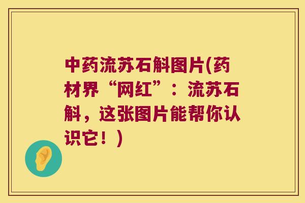 中药流苏石斛图片(药材界“网红”：流苏石斛，这张图片能帮你认识它！)