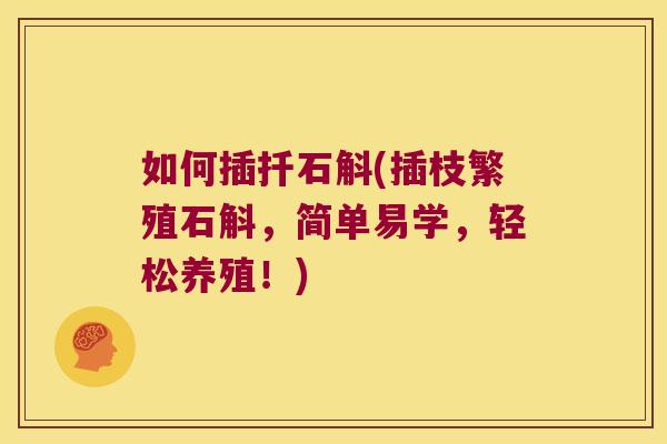 如何插扦石斛(插枝繁殖石斛，简单易学，轻松养殖！)