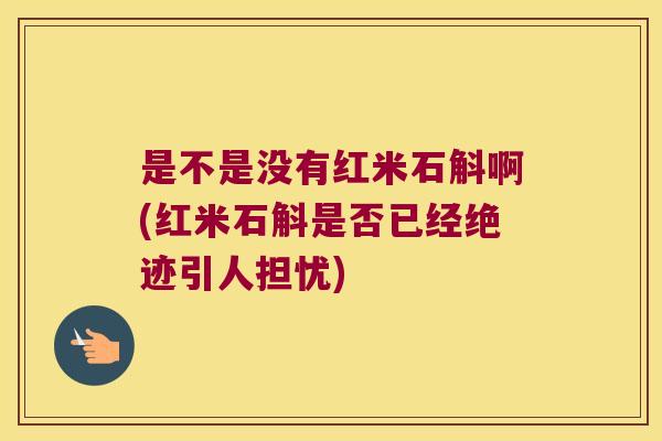 是不是没有红米石斛啊(红米石斛是否已经绝迹引人担忧)