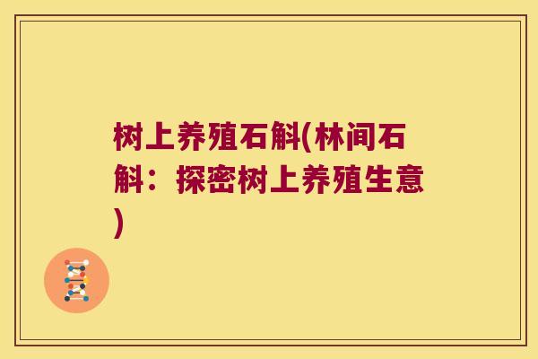 树上养殖石斛(林间石斛：探密树上养殖生意)
