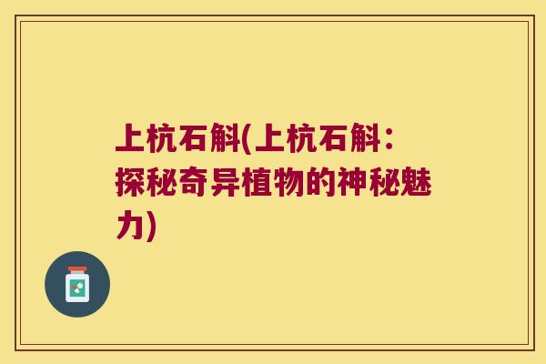上杭石斛(上杭石斛:探秘奇异植物的神秘魅力) 上杭石斛(上杭石斛:探秘奇异植物的神秘魅力)