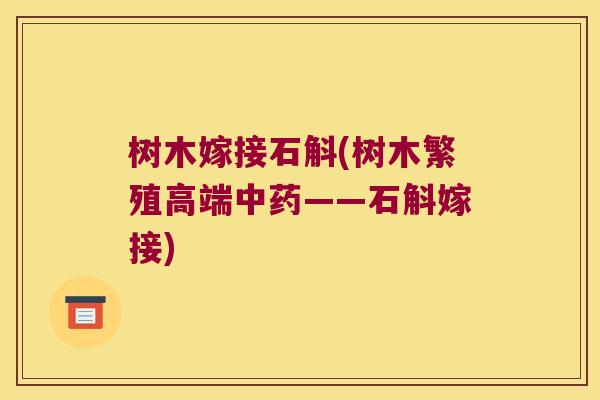 树木嫁接石斛(树木繁殖高端中药——石斛嫁接)
