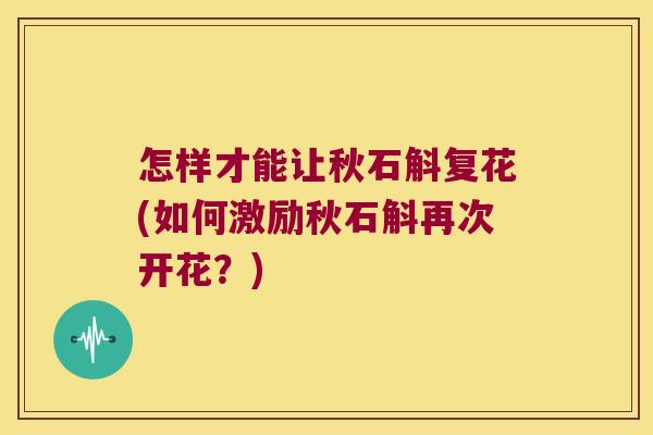 怎样才能让秋石斛复花(如何激励秋石斛再次开花?) 怎样才能让秋石斛复花(如何激励秋石斛再次开花?)