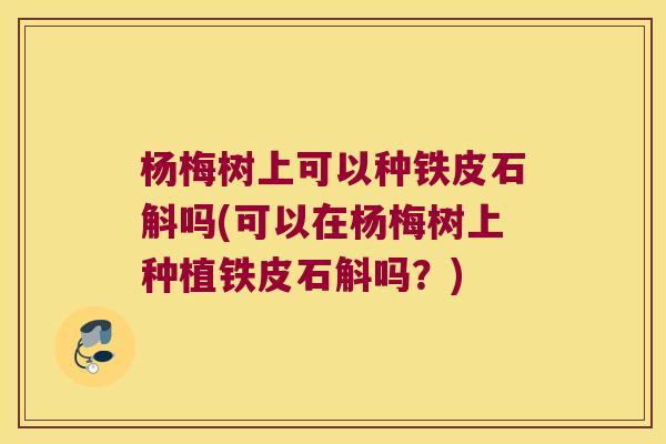 杨梅树上可以种铁皮石斛吗(可以在杨梅树上种植铁皮石斛吗？)
