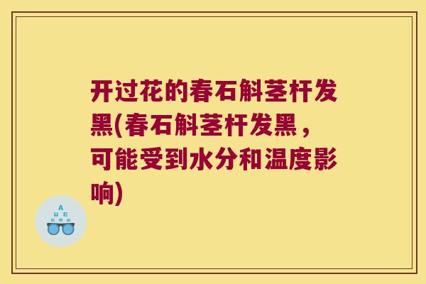 开过花的春石斛茎杆发黑(春石斛茎杆发黑，可能受到水分和温度影响)