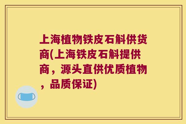 上海植物铁皮石斛供货商(上海铁皮石斛提供商,源头直供优质植物,品质保证) 上海植物铁皮石斛供货商(上海铁皮石斛提供商,源头直供优质植物,品质保证)