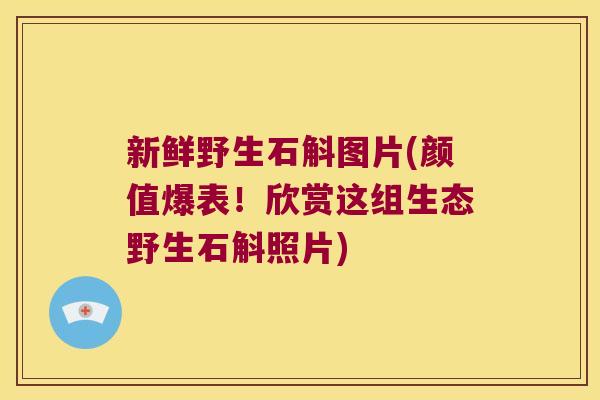 新鲜野生石斛图片(颜值爆表！欣赏这组生态野生石斛照片)