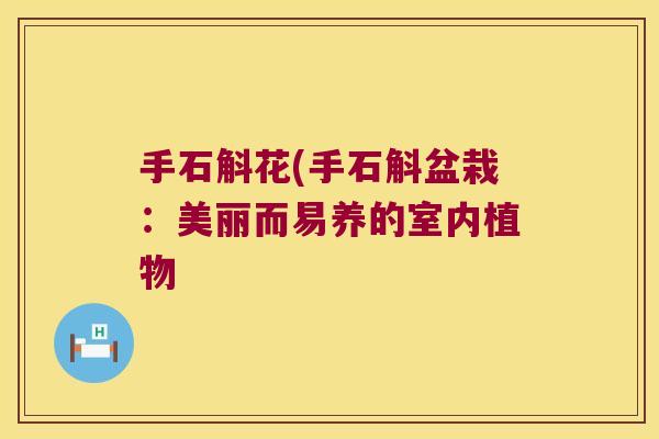 手石斛花(手石斛盆栽:美丽而易养的室内植物 手石斛花(手石斛盆栽:美丽而易养的室内植物