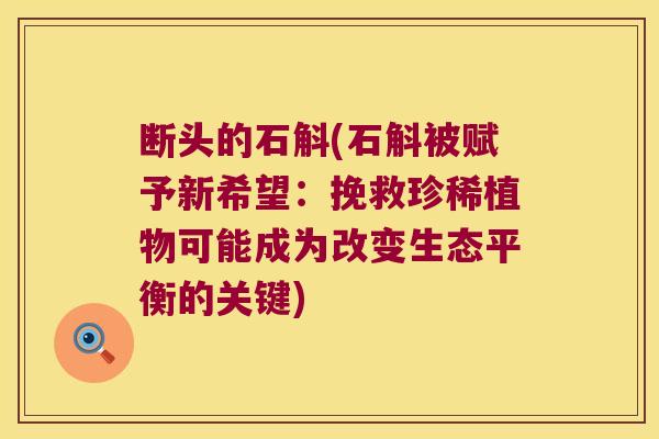 断头的石斛(石斛被赋予新希望:挽救珍稀植物可能成为改变生态平衡的关键) 断头的石斛(石斛被赋予新希望:挽救珍稀植物可能成为改变生态平衡的关键)