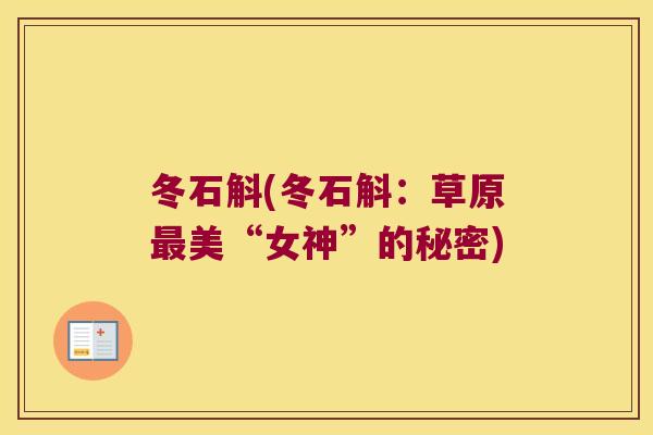 冬石斛(冬石斛：草原美“女神”的秘密)