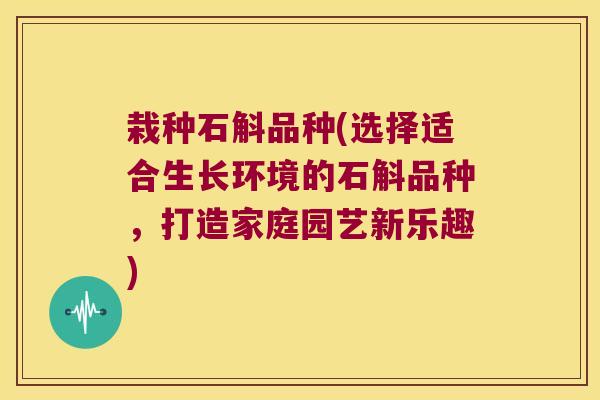 栽种石斛品种(选择适合生长环境的石斛品种，打造家庭园艺新乐趣)