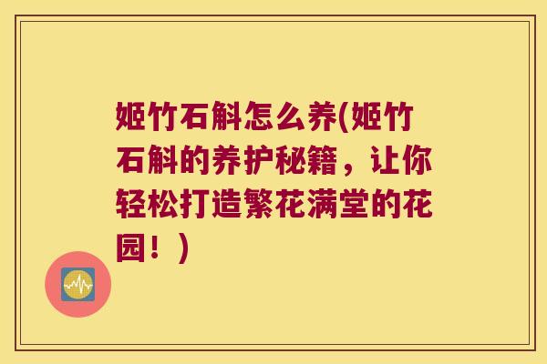 姬竹石斛怎么养(姬竹石斛的养护秘籍，让你轻松打造繁花满堂的花园！)