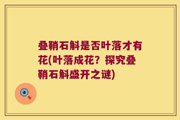 叠鞘石斛是否叶落才有花(叶落成花？探究叠鞘石斛盛开之谜)