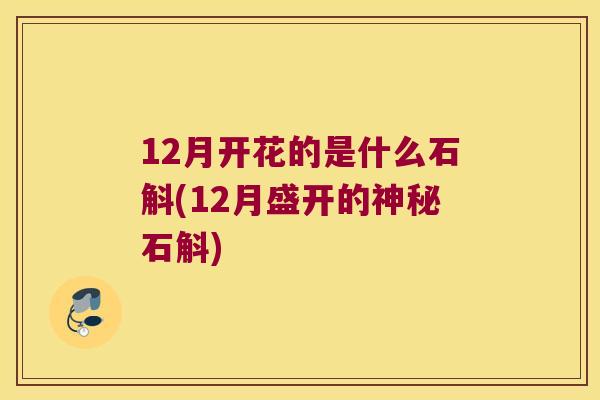 12月开花的是什么石斛(12月盛开的神秘石斛)