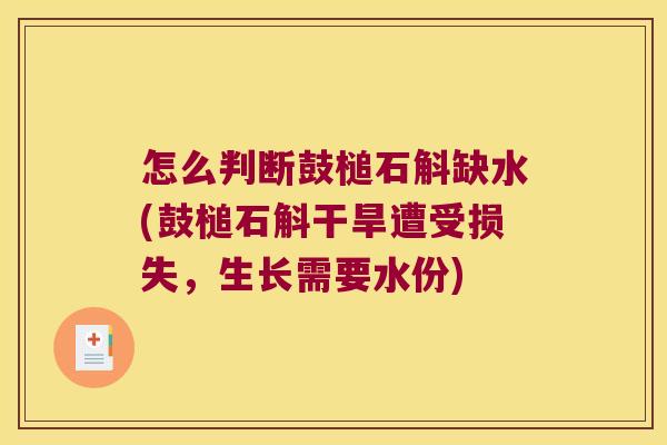 怎么判断鼓槌石斛缺水(鼓槌石斛干旱遭受损失，生长需要水份)