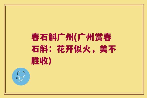 春石斛广州(广州赏春石斛:花开似火,美不胜收) 春石斛广州(广州赏春石斛:花开似火,美不胜收)