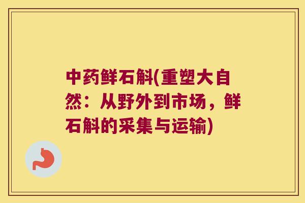 中药鲜石斛(重塑大自然：从野外到市场，鲜石斛的采集与运输)