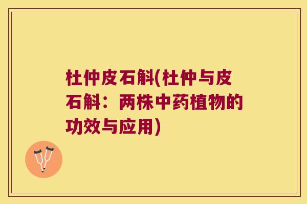 杜仲皮石斛(杜仲与皮石斛：两株中药植物的功效与应用)