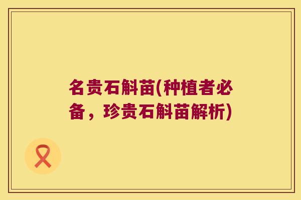 名贵石斛苗(种植者必备，珍贵石斛苗解析)