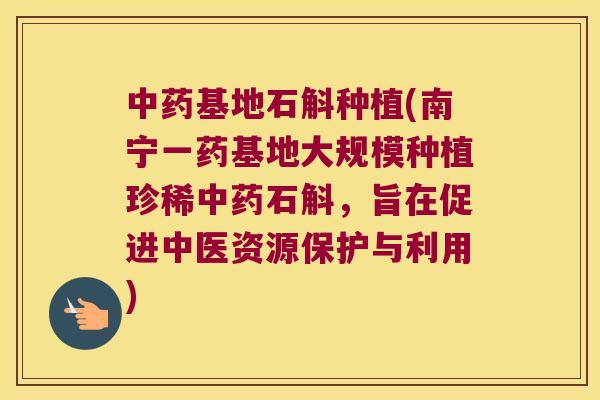 中药基地石斛种植(南宁一药基地大规模种植珍稀中药石斛，旨在促进中医资源保护与利用)