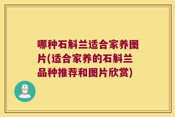 哪种石斛兰适合家养图片(适合家养的石斛兰品种推荐和图片欣赏)