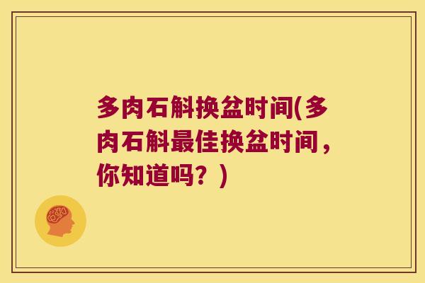 多肉石斛换盆时间(多肉石斛最佳换盆时间，你知道吗？)