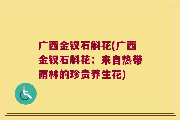 广西金钗石斛花(广西金钗石斛花：来自热带雨林的珍贵养生花)