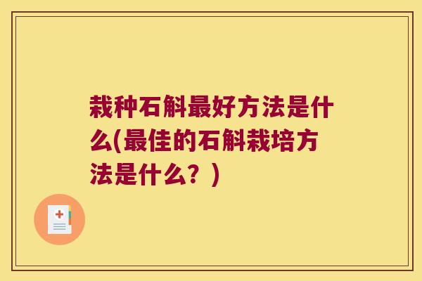 栽种石斛最好方法是什么(最佳的石斛栽培方法是什么？)