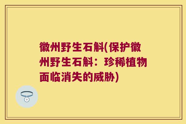 徽州野生石斛(保护徽州野生石斛:珍稀植物面临消失的威胁) 徽州野生石斛(保护徽州野生石斛:珍稀植物面临消失的威胁)