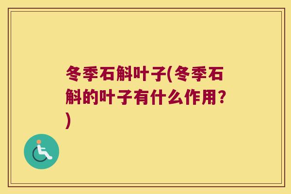 冬季石斛叶子(冬季石斛的叶子有什么作用？)