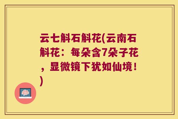 云七斛石斛花(云南石斛花：每朵含7朵子花，显微镜下犹如仙境！)