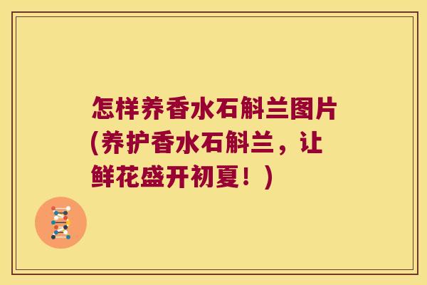怎样养香水石斛兰图片(养护香水石斛兰,让鲜花盛开初夏!) 怎样养香水石斛兰图片(养护香水石斛兰,让鲜花盛开初夏!)