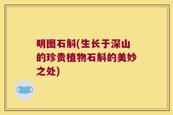 明图石斛(生长于深山的珍贵植物石斛的美妙之处) 明图石斛(生长于深山的珍贵植物石斛的美妙之处)
