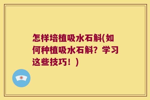 怎样培植吸水石斛(如何种植吸水石斛？学习这些技巧！)