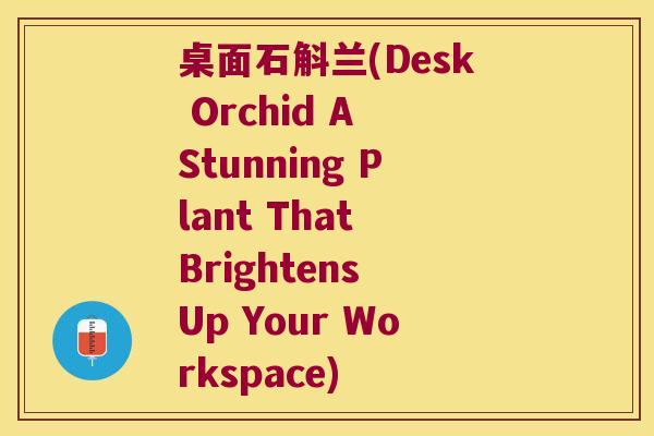 桌面石斛兰(Desk Orchid A Stunning Plant That Brightens Up Your Workspace)