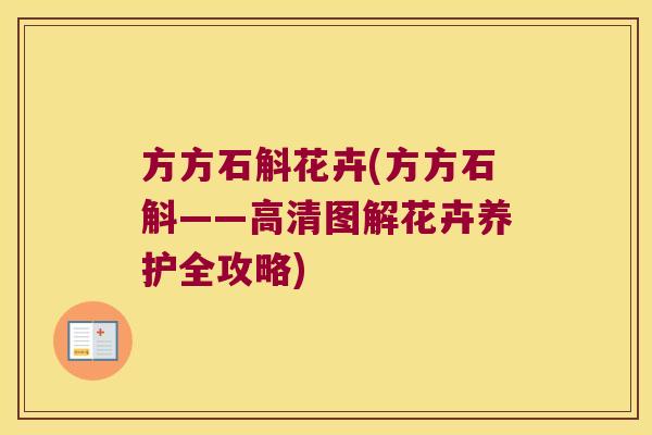 方方石斛花卉(方方石斛——高清图解花卉养护全攻略)
