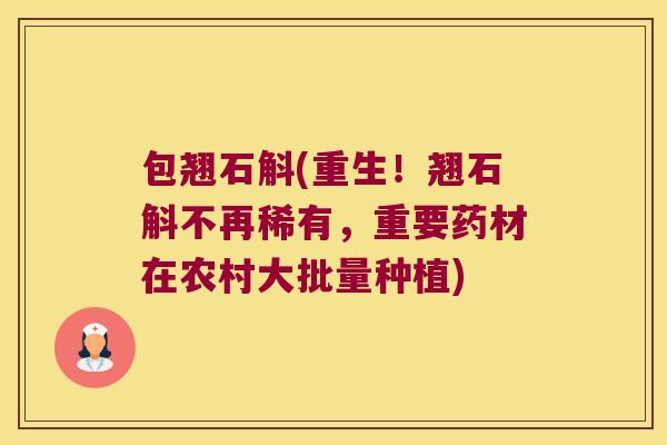 包翘石斛(重生！翘石斛不再稀有，重要药材在农村大批量种植)
