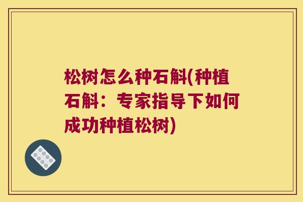 松树怎么种石斛(种植石斛：专家指导下如何成功种植松树)
