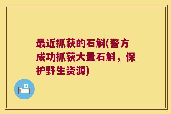 近抓获的石斛(警方成功抓获大量石斛，保护野生资源)