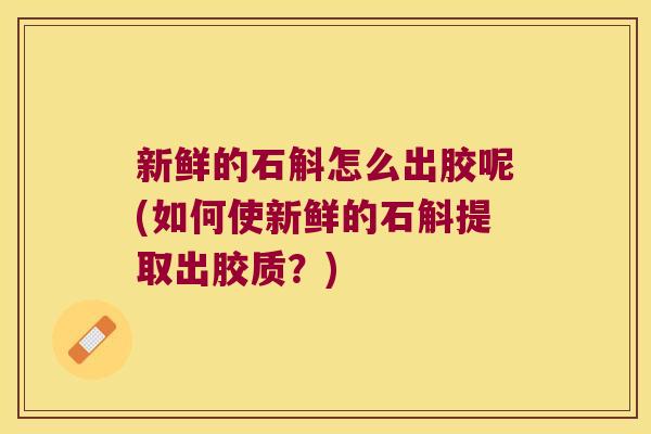 新鲜的石斛怎么出胶呢(如何使新鲜的石斛提取出胶质?) 新鲜的石斛怎么出胶呢(如何使新鲜的石斛提取出胶质?)