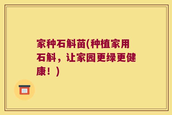 家种石斛苗(种植家用石斛,让家园更绿更健康!) 家种石斛苗(种植家用石斛,让家园更绿更健康!)